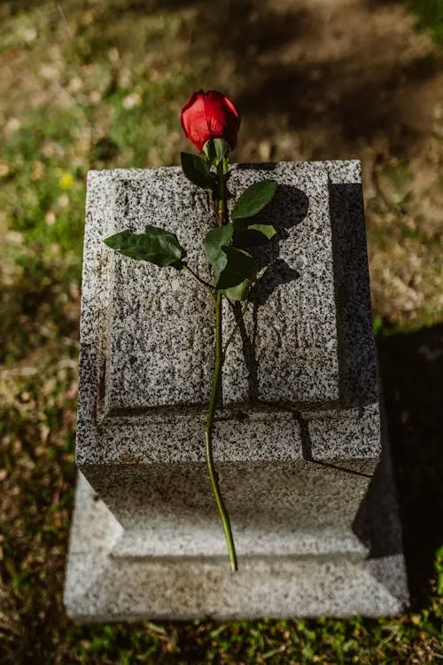 Une rose rouge posée sur une pierre tombale en granit, symbolisant un hommage rendu à une personne décédée dans un cimetière.